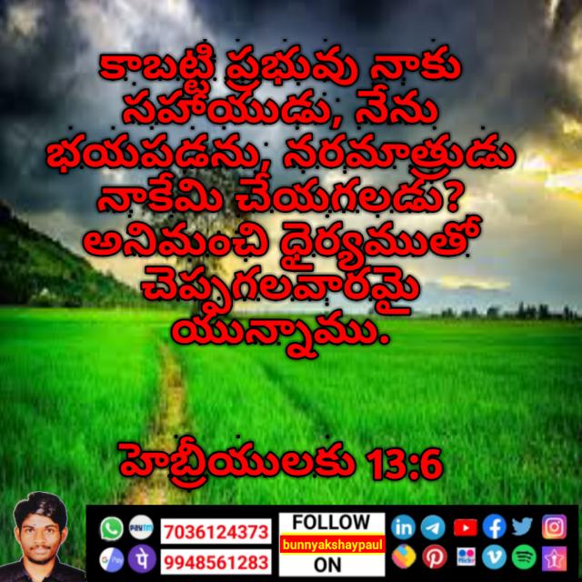 Daily Bible verses