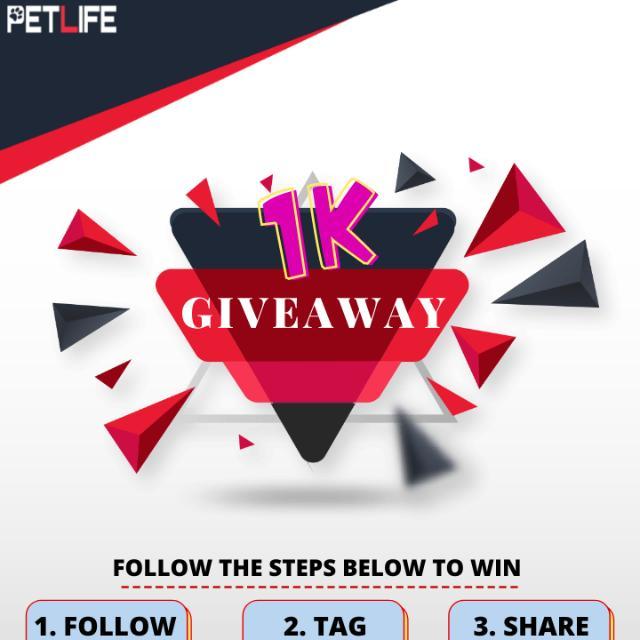 ?️ PETS LUCKY DRAW ?️