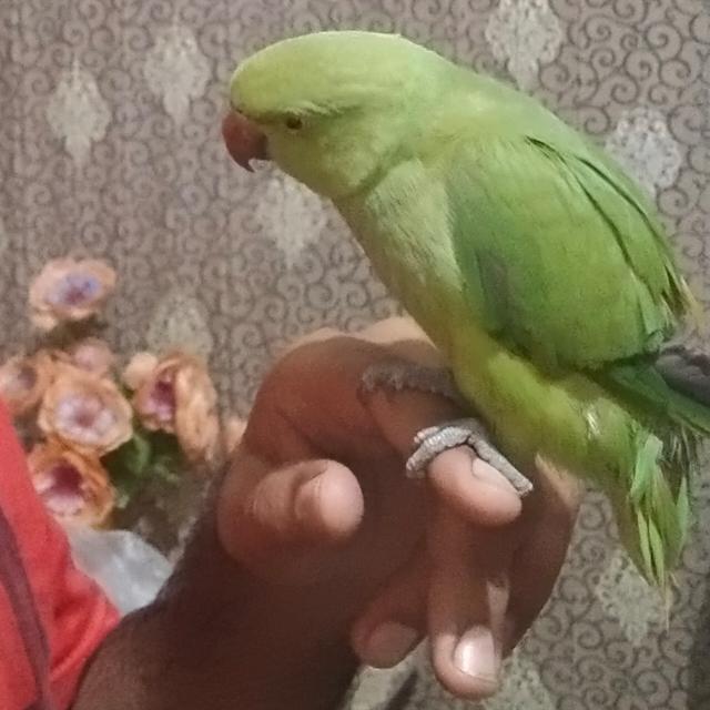 Love on the way