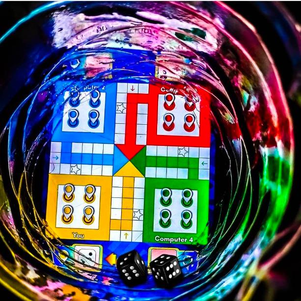 Ludo king championship?️