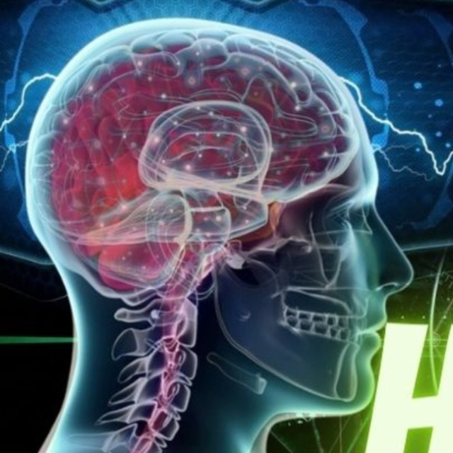 Human Psychology 1