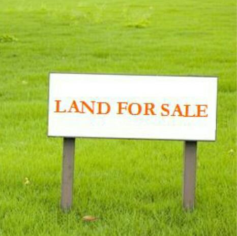 Only Real Estate Whatsapp group