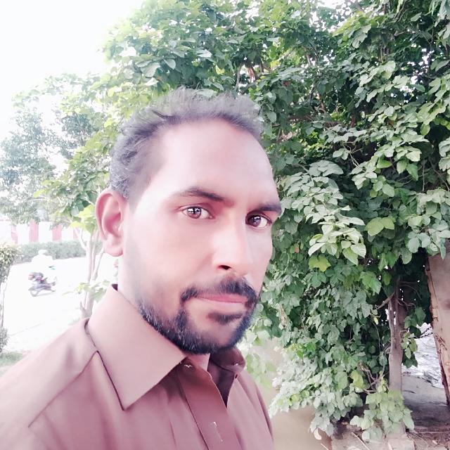 Pyara garop