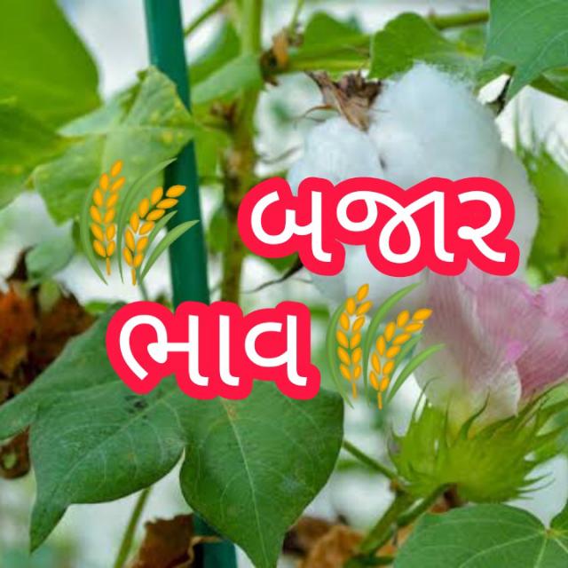 બજાર ભાવ??