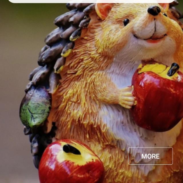 Only New Erning Whatsapp group