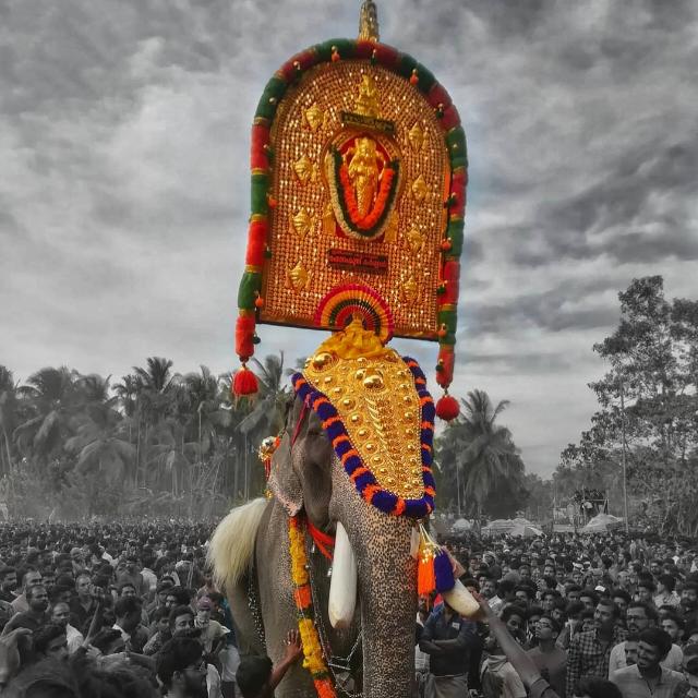 മംഗലംകുന്ന് കർണൻ fans?