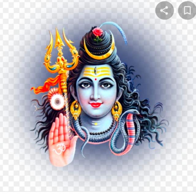 ?महाकालेश्वर ट्रेडर्स?