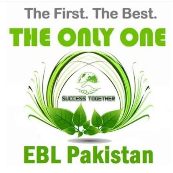 Real Earning website