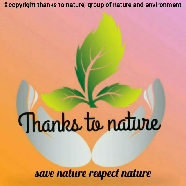 Thanks to Nature Whatsapp group