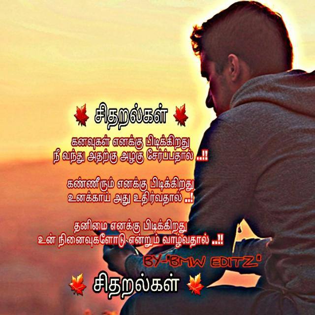 ? சிதறல்கள் ?
