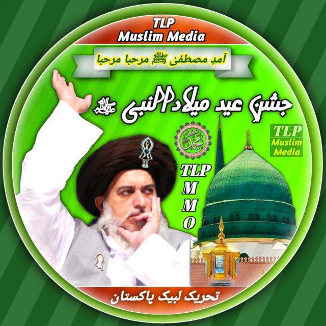 Only Islam is Life Whatsapp group