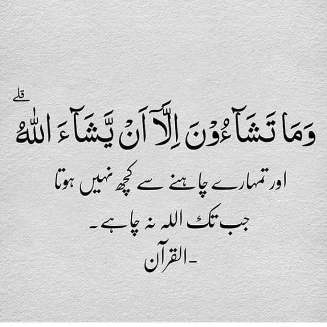 ?دینِ اسلام☪️