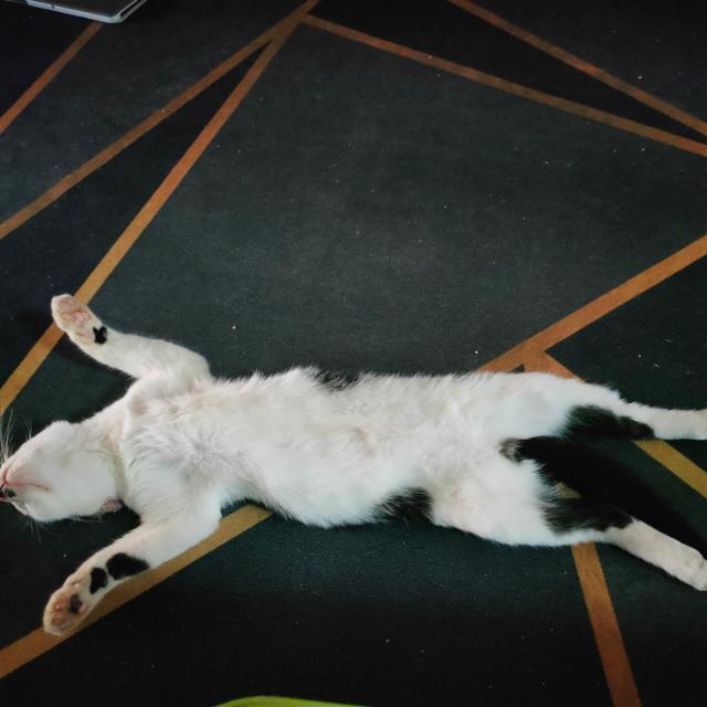 TOBAT