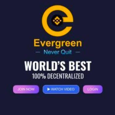 Evergreen BNB Concept 