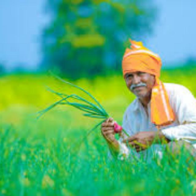 FARMERS GROUP