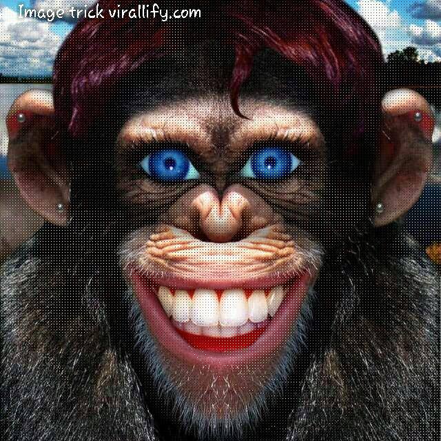 Y