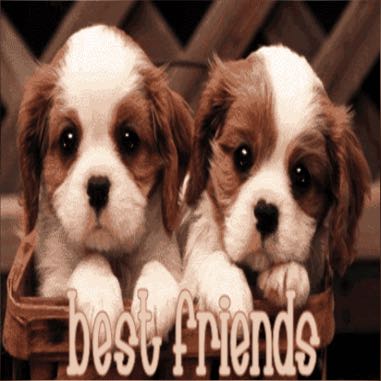 Friends