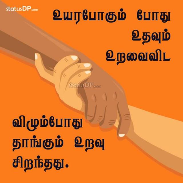 நியூ life