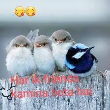 Har ik Friend? Kmina?? hota Hai??