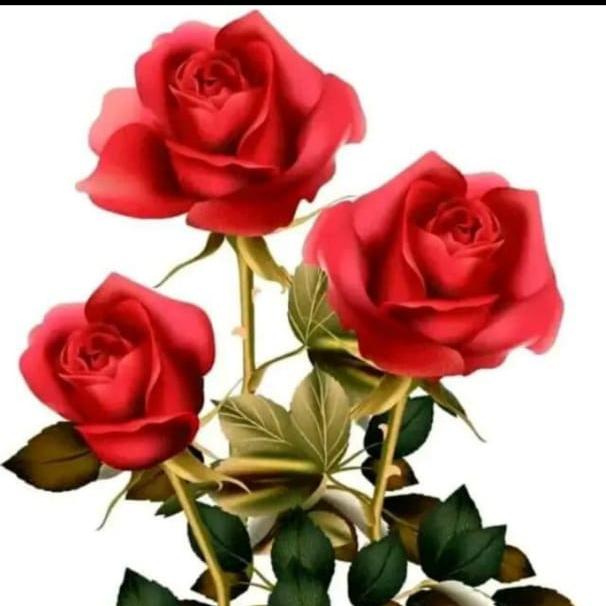 8427898918RAVikUMAR