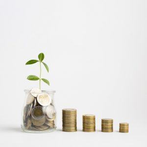 Daily income 