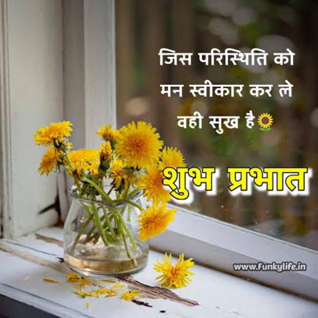 Only fan??