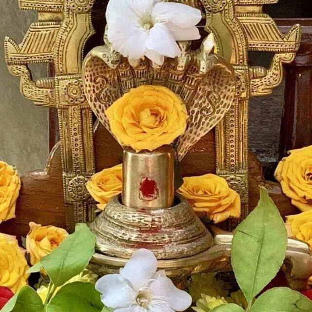 come fast Whatsapp group