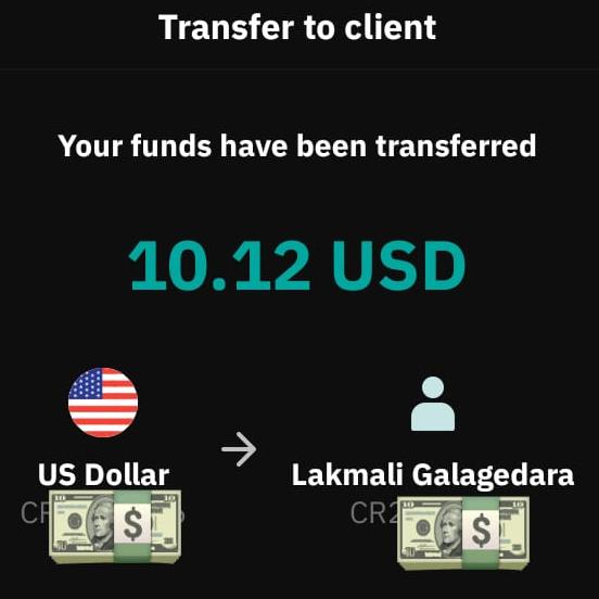 SKRIL USD SL ADMIN ??