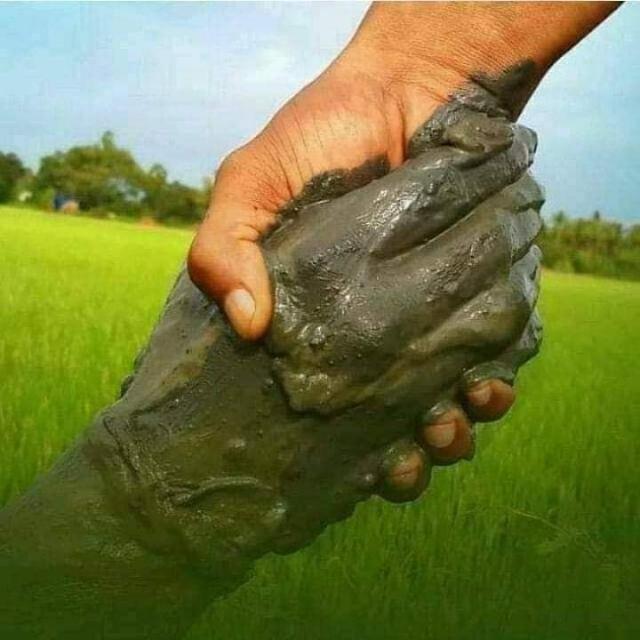 ??விவசாய தகவல் மற்றும் ??