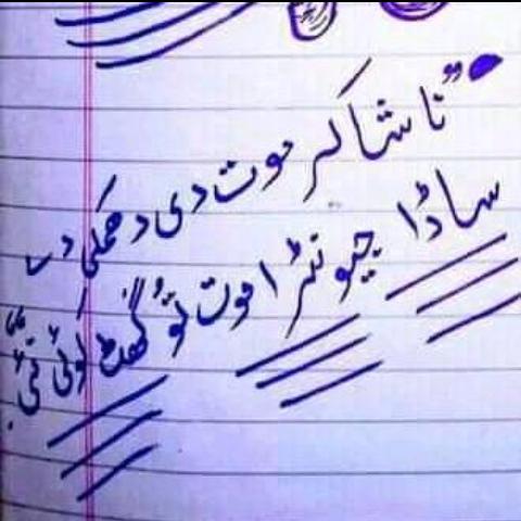 Parshan Log