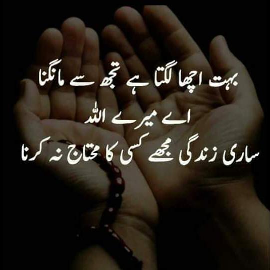 FP Heroes♥️ (Official BWP)