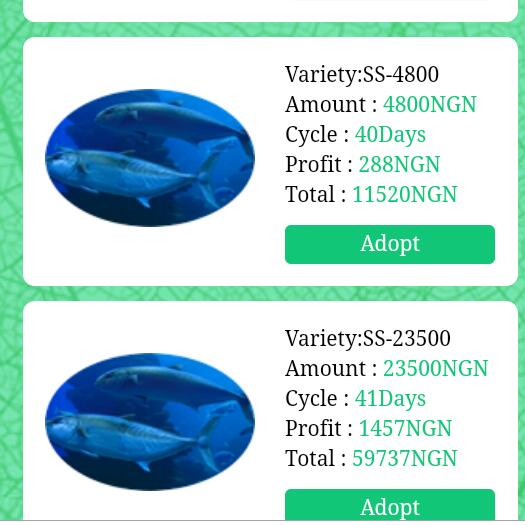 Make money with Thomdock ?