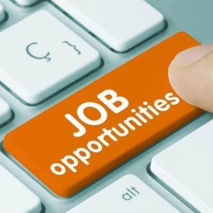 Online Job Apply