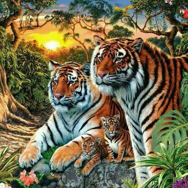 ?masti group ??