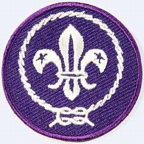 World Scouting
