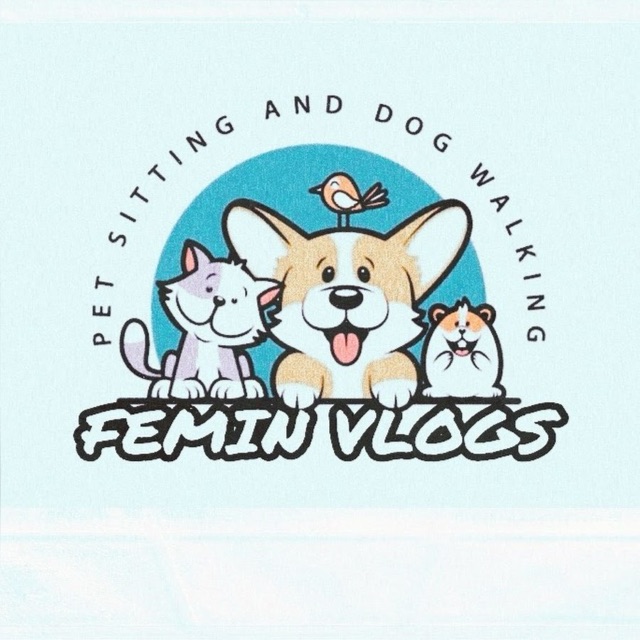 Femin vlogs ?