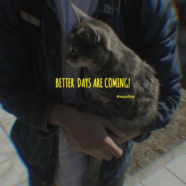 ? Sτατυs  Uρlσdɛяƨ?