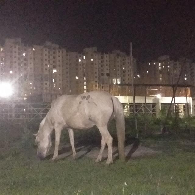 ????‍? ????