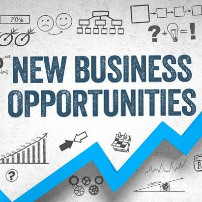 Network Marketing