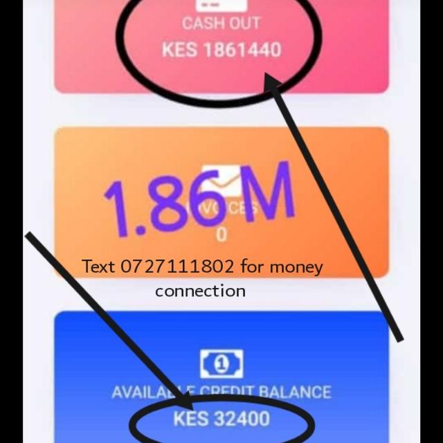 Mboro ni tamu