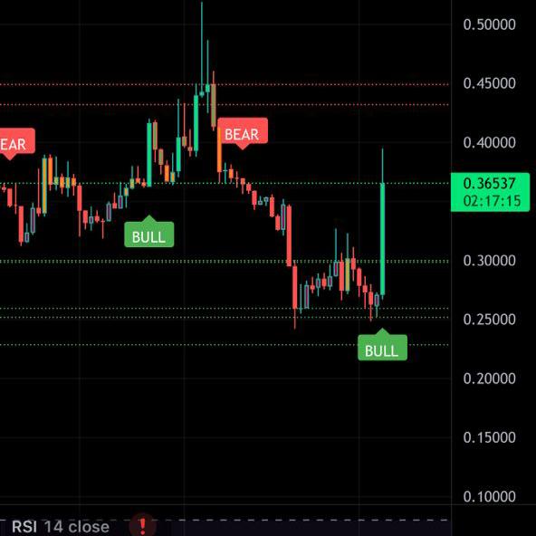 Crypto curise???