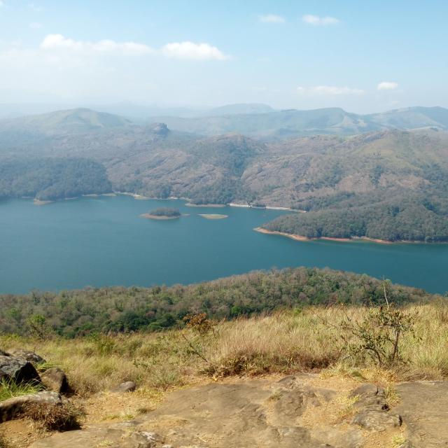 ആകാശത്തിലെ പറവകൾ ?