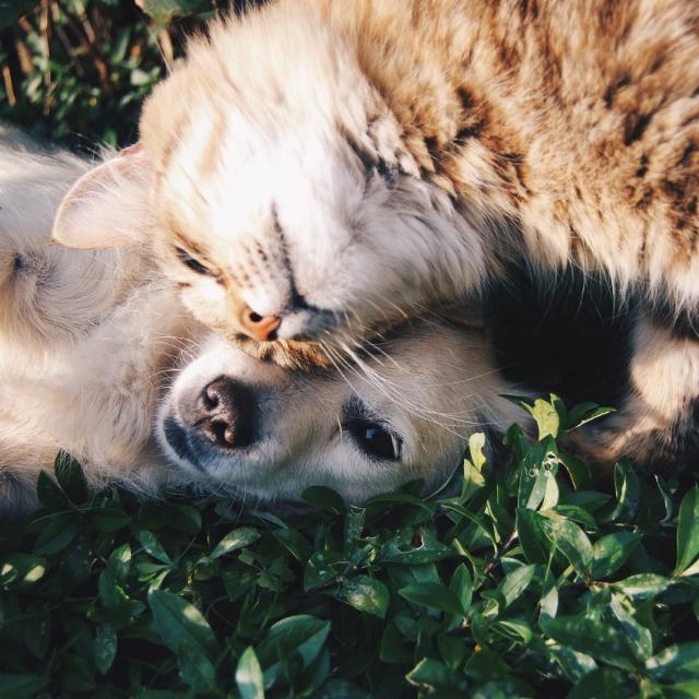 Cute Friends?