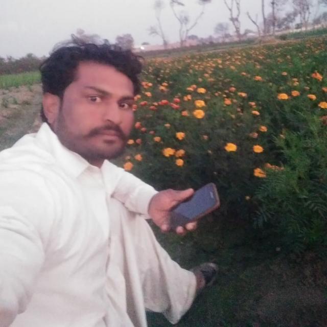 دلوں کا بادشاہ
