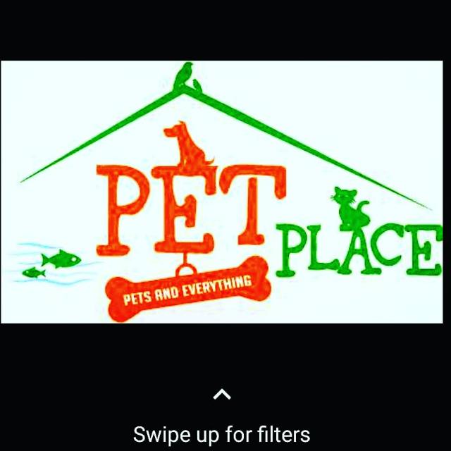 PET PLACE? Hospital,shop