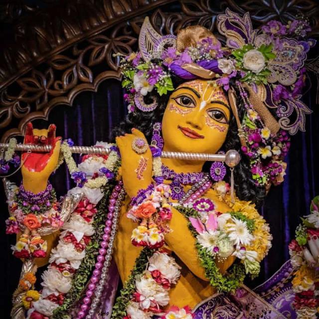 ?Jai Shri Krishna?