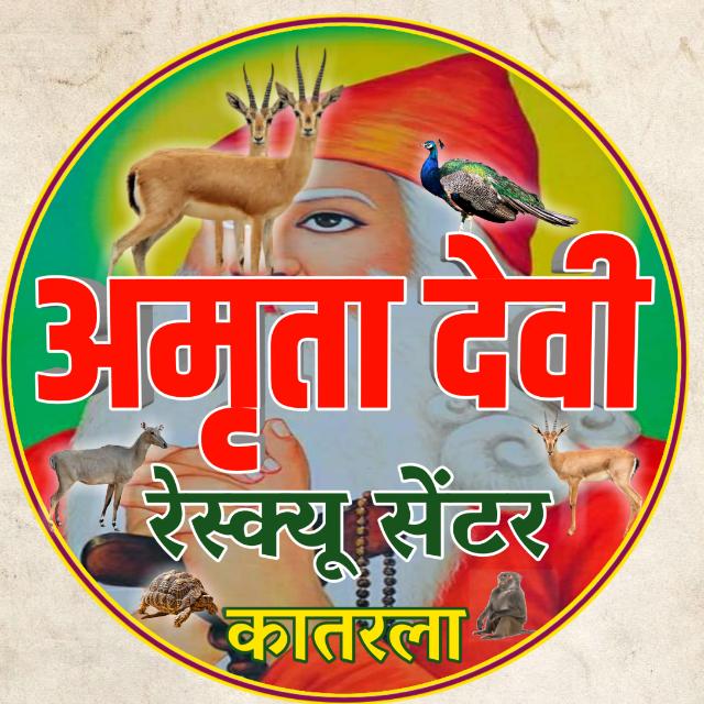 यूट्यूब चैनल-अमृता देवी वन्यजीव2️⃣