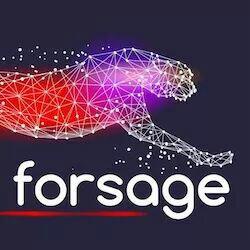 Forsaje sy passy kmy