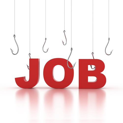 JOB ALERT 