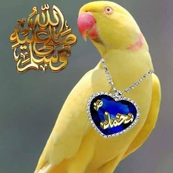 ?? حٙدِیثِ رَسُول ﷺ ??